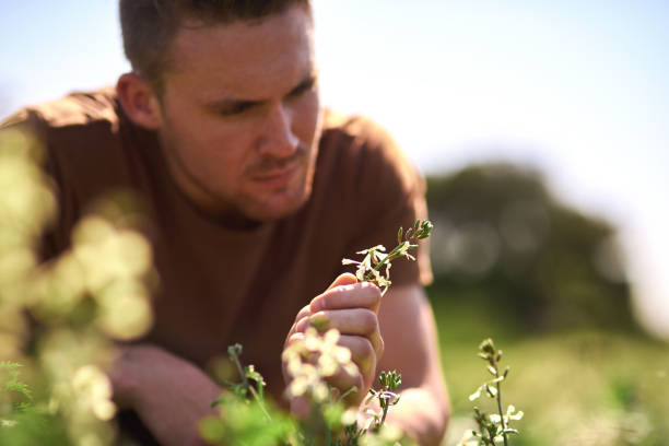 istock Have patience and watch great things grow 1187394713