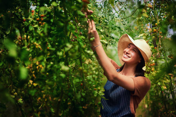 istock That looks about ripe to me 1187394753