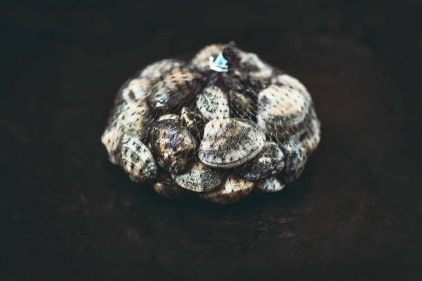 istock Fresh clams in the grid on the dark background 1187394762