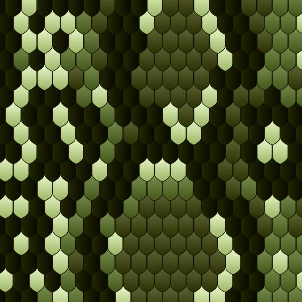 istock Snake skin pattern for print design. Vector animal print Green Snake, cobra, skin, pattern, snakeskin, python. Trendy abstract vector texture. Fashion snake pattern. 1187394835