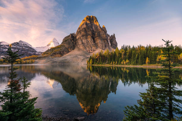 istock Scenery of Sunburst lake and mount Assiniboine reflections between pine tree at sunrise 1187394936