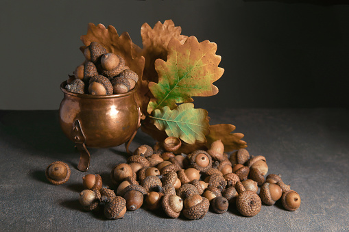 Autumn acorns in copper pot.