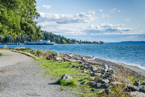 istock West Seattle Ferry Termainal Scene 3 1187403601