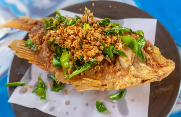 Photo of Thai traditional food, red snapper (pla); deep fried fish on a plate topped with lime leaves and garlic