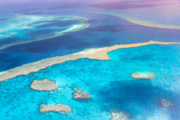 Aerial view on sea channel through great barrier reef near airlie beach surrounded by shallow coral reef in turquise clear water. Horizon is set over the ocean with the channel leading all the way through the great barrier reef national marine park. Images were shot during a flight over the hardy reef departing from the area of airlie beach, with flight over whitsunday islands. great barrier reef marine park stock pictures, royalty-free photos & images