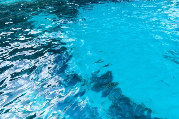 istock Shiny blue sea water surface. Natural background 1187412936