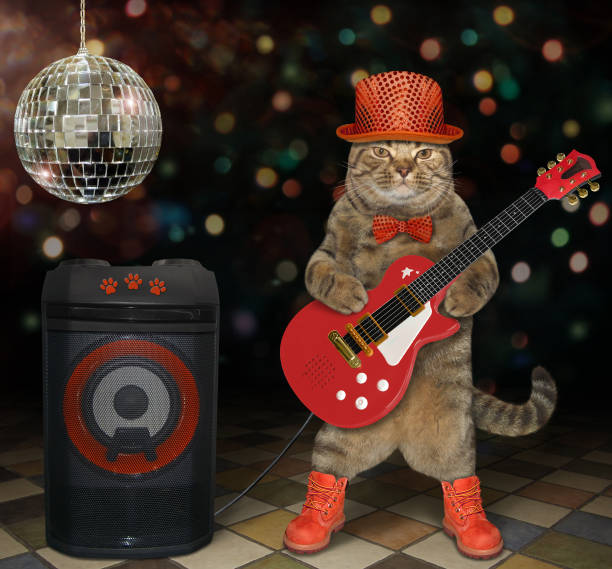 istock Cat plays electric guitar in club 1187414169