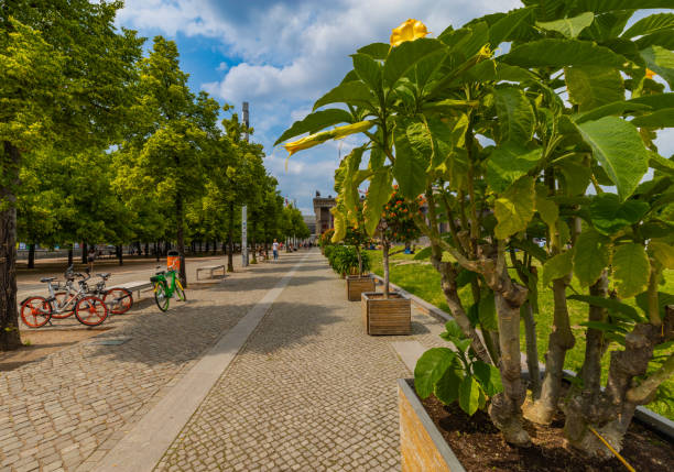 Brick Walkway With Wooden Boxes of Plants And Berlin Eco Bikes Parked Under Green Trees.