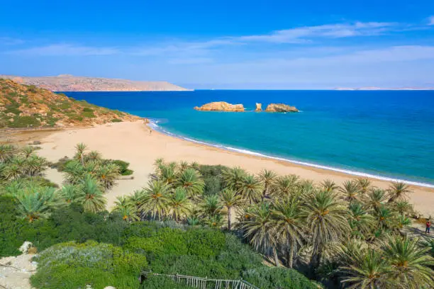 Photo of Scenic landscape of palm trees, turquoise water and tropical beach, Vai, Crete, Greece.