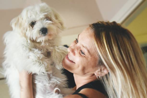 istock Woman holding a puppy 1187417490