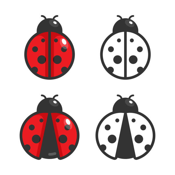 marienkäfer icon vektor-design. - ladybug stock-grafiken, -clipart, -cartoons und -symbole