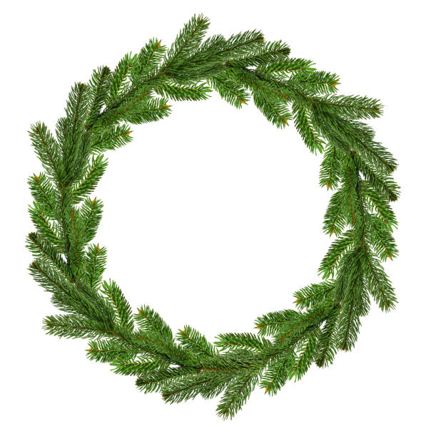 Natural wreath of pine branches. Top view .Christmas decoration.Isolated on a white background without shadow. Winter wreath . Christmas greeting card with wreath . Perfect for Christmas and New Year greetings, invitation. Merry Christmas wreath . Xmas theme. Isolated on a white background without shadow. thorn wreath stock pictures, royalty-free photos & images