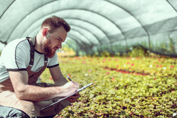 istock Male Gardener Taking Notes About Flower Healing Process 1187420240