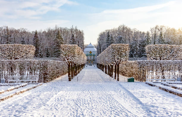 parque de catalina en invierno, tsarskoe selo (pushkin), san petersburgo, rusia - catherine park fotografías e imágenes de stock