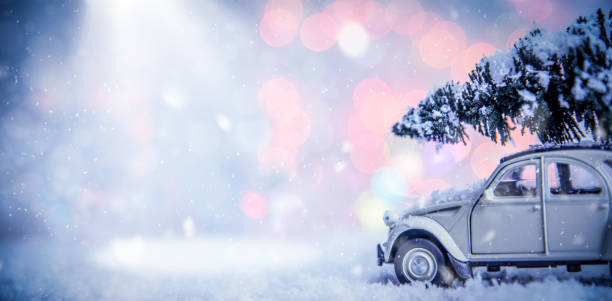 Vintage car with fir tree in a snowy winter day