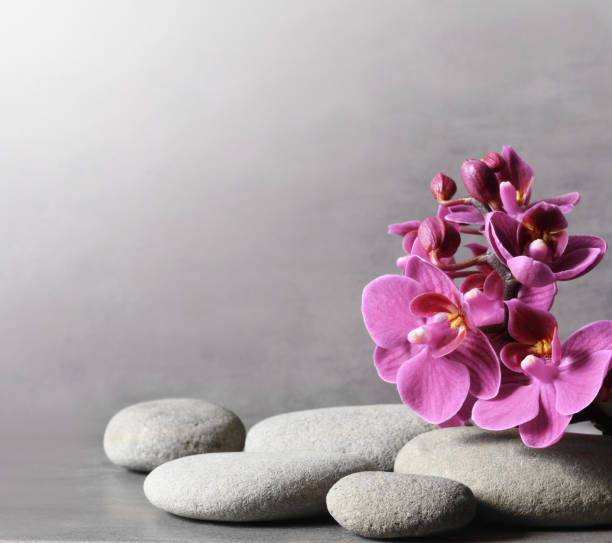 istock Composition with spa stones, orchid pink flower on grey background. 1187429505