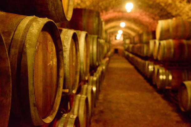 istock Wine barrels in wine-vaults in order. Wine bottle and barrels 1187430992