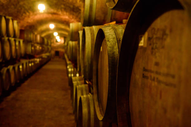 3D renderig of a close up of barrels of wine and Pisco in cellar