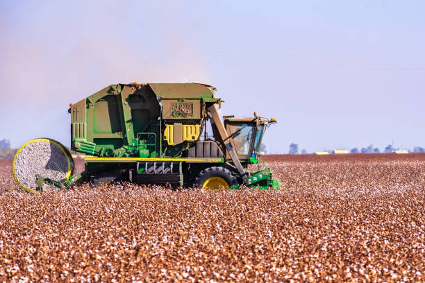 Combine harvester harvesting wheat in the wheat field during the day