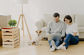 Young European family couple relax during home renovation, focused in laptop computer, plan redecoration, sit near couch with favourite pedigree dog, boxes with personal stuff and floor lamp