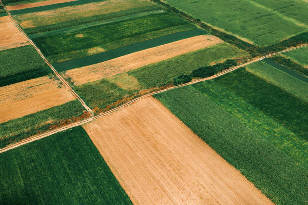 istock Beautiful countryside patchwork pattern of cultivated landscape 1187438910