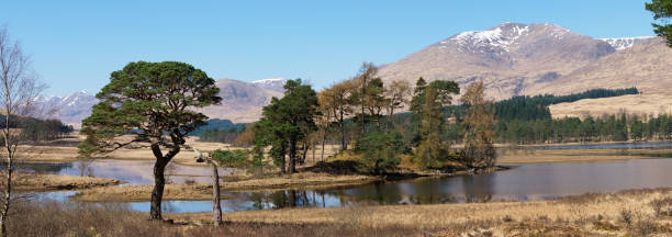 istock Loch Tulla, Argyll & Bute, Scotland. 1187439487