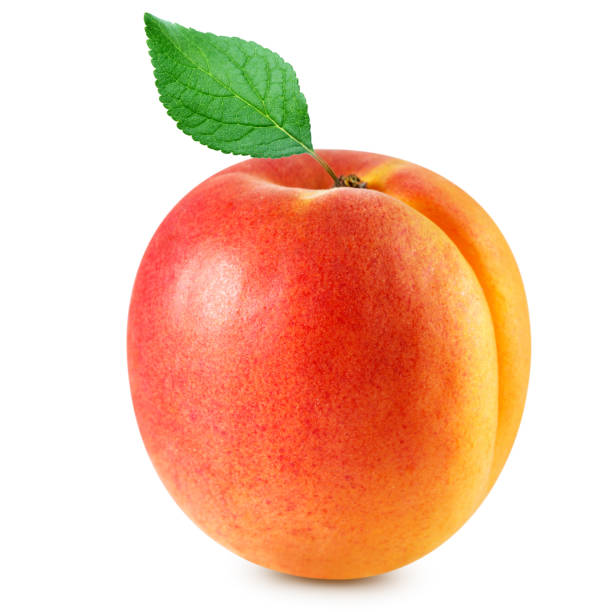 istock apricot fruits isolated 1187439490