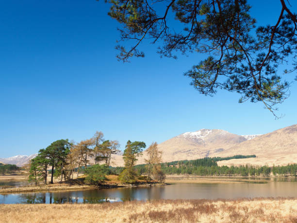 istock Loch Tulla, Argyll & Bute, Scotland. 1187439517