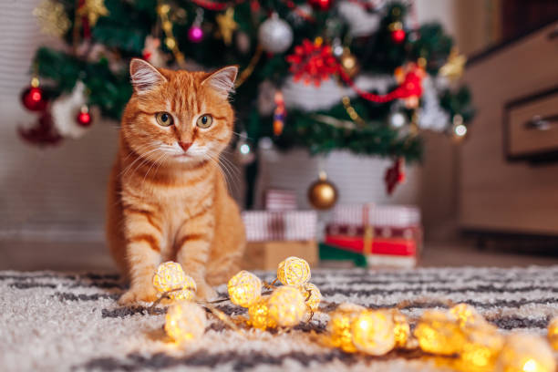 istock Ginger cat playing with garland under Christmas tree. Christmas and New year concept 1187452976