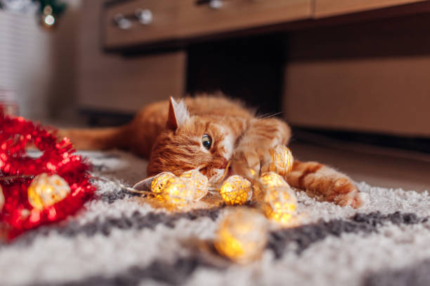 istock Ginger cat playing with garland under Christmas tree. Christmas and New year concept 1187453130