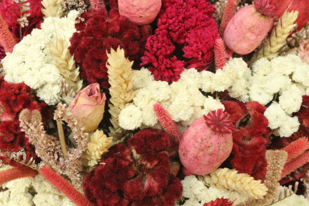 istock Flower Bouquet - Close-Up 1187453244