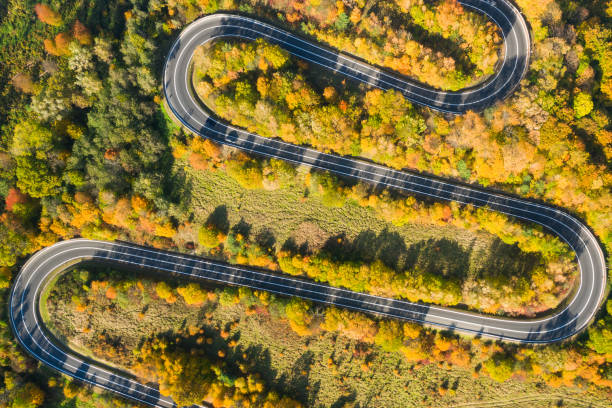 istock Autumn Winding Road in the Forest 1187458470