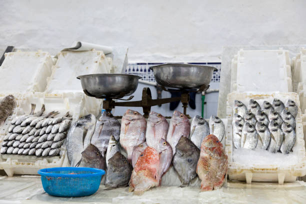Moroccan Fish Market in City of Fez, Morocco