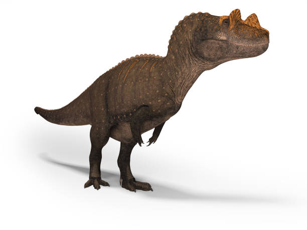 istock Concept dinosaur tyrannosaurus 3d rendering on white background with shadow 1187460487
