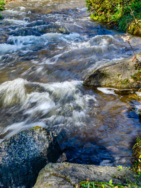 istock Close-up of whitewater stream flowing fast 1187461462