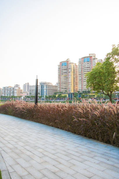 istock The Fushan park at dusk. 1187473575