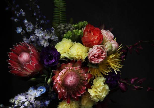 195,545 Still Life Flowers Stock Photos, Pictures & Royalty-Free Images - iStock | Black still life flowers 195,545 Still Life Flowers Stock Photos, Pictures & Royalty-Free Images - iStock | Black still life flowers