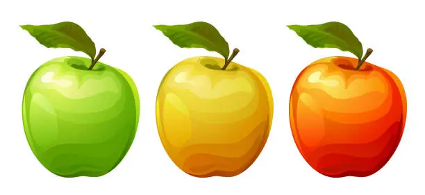 Vector illustration of Three apples