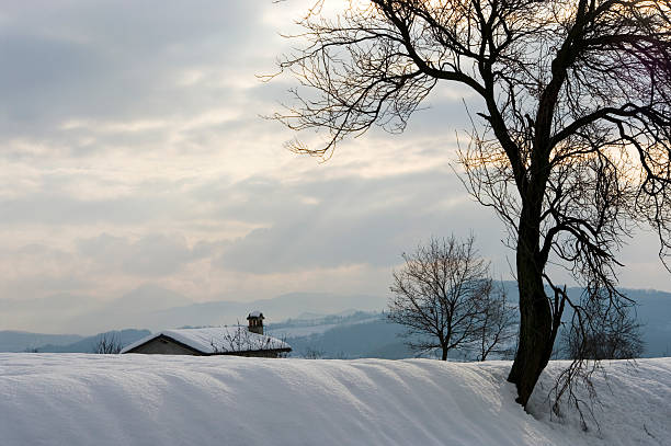 wintry landscape stock photo