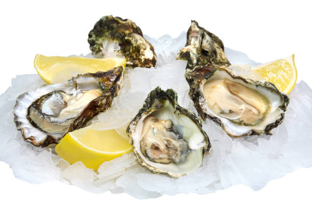 istock Fresh opened oysters with lemon on crushed ice 1187481904