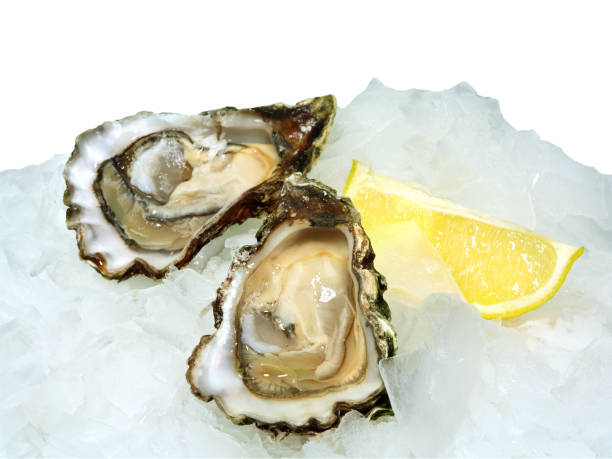 istock Fresh opened oysters with lemon on crushed ice 1187481906