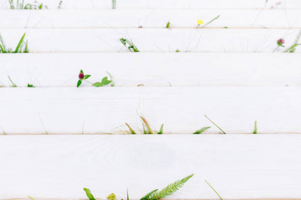 istock summer house patio white wooden background grass 1187482398