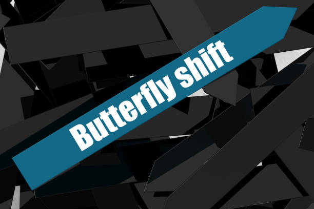 Butterfly shift word on the blue arrow, 3D rendering