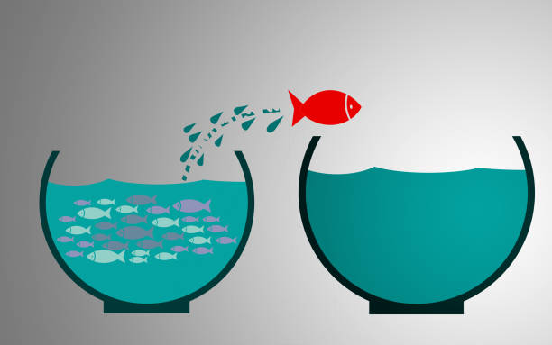 istock Leader, Fish jumping outside the aquarium 1187484220