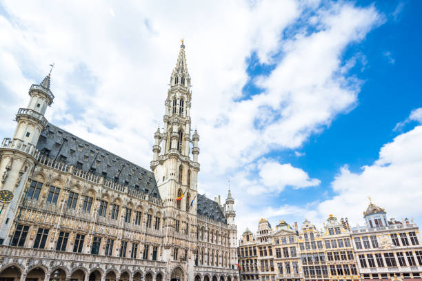 grand place e municipio, bruxelles, belgio - brussels belgium arranging majestic foto e immagini stock