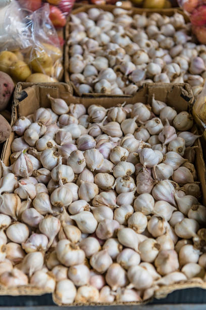 istock Garlic  at the Market Stall 1187485499