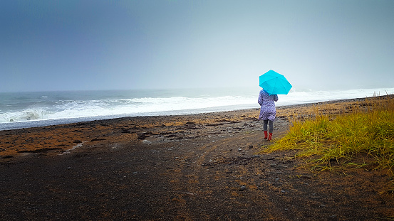 Snaefellsnes, Iceland: A woman with a bright blue umbrella walks on a black sand beach in Western Iceland in autumn.