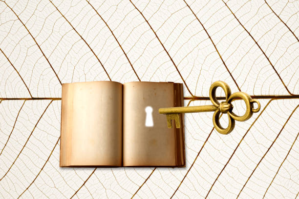 istock Blank aged book with Keyhole and Skeleton Key against perfect leaf veins 1187486456