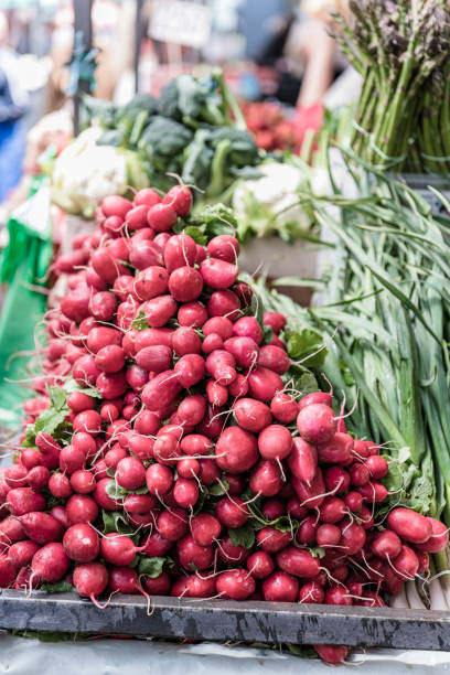 istock Radishes at the Market Stall 1187487494
