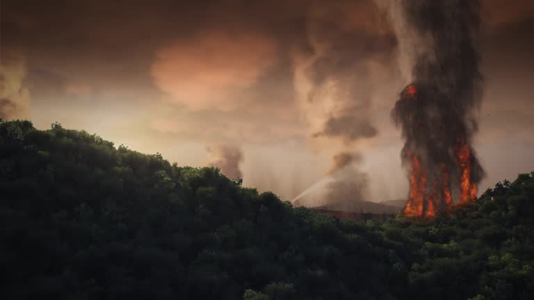 Aerial Shot of a Burning Forest